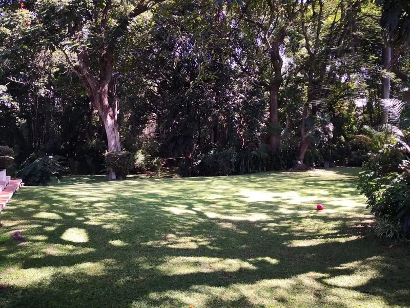 Foto 14