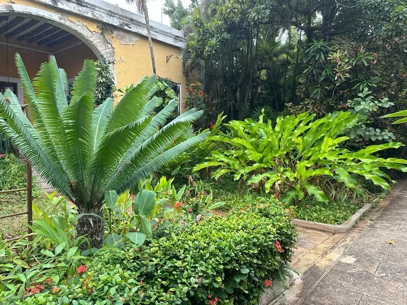 Foto 37