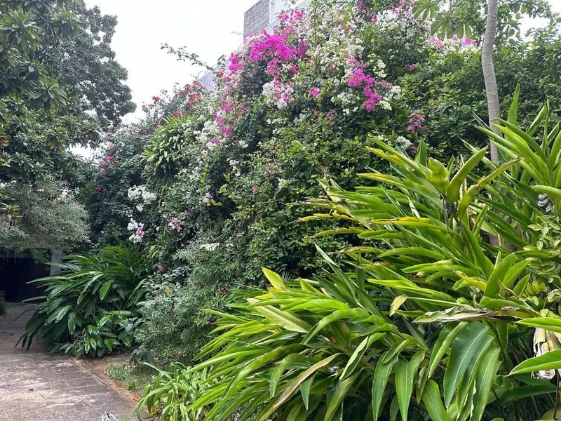 Foto 43