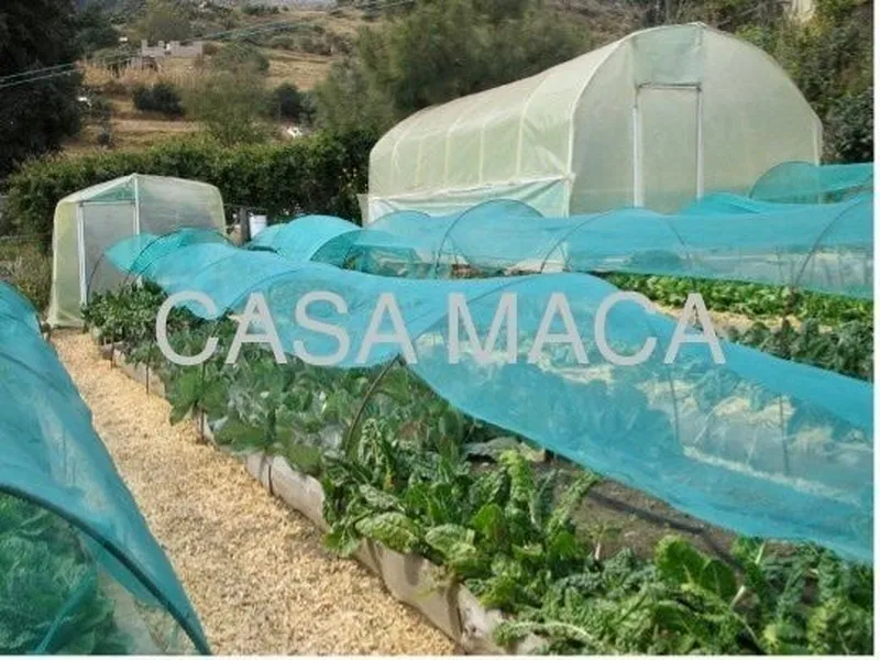 Foto 9