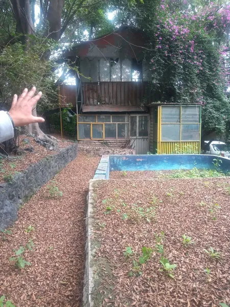 Foto 5