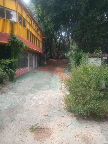 Foto 6