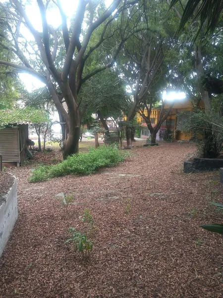 Lote en venta · Floresta, Los Reyes, Estado de México