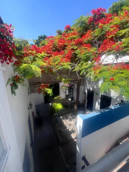 Foto 42