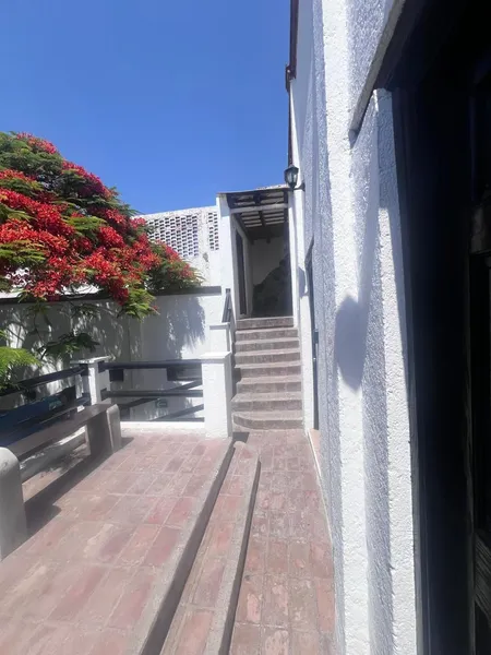 Foto 41