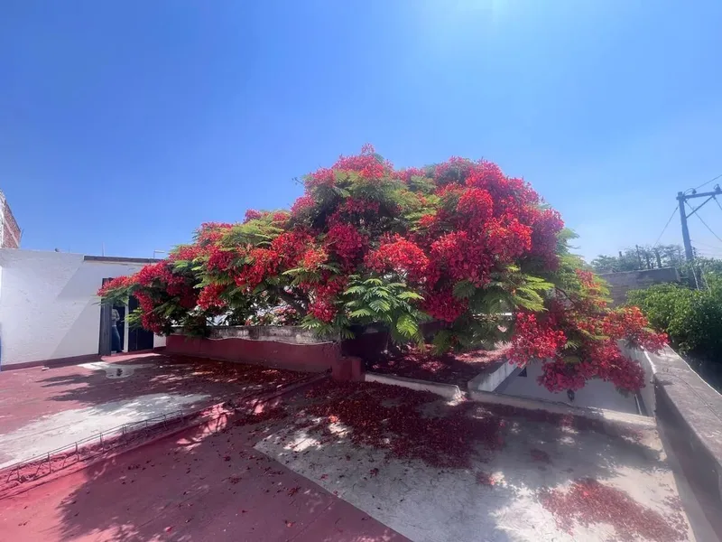 Foto 40