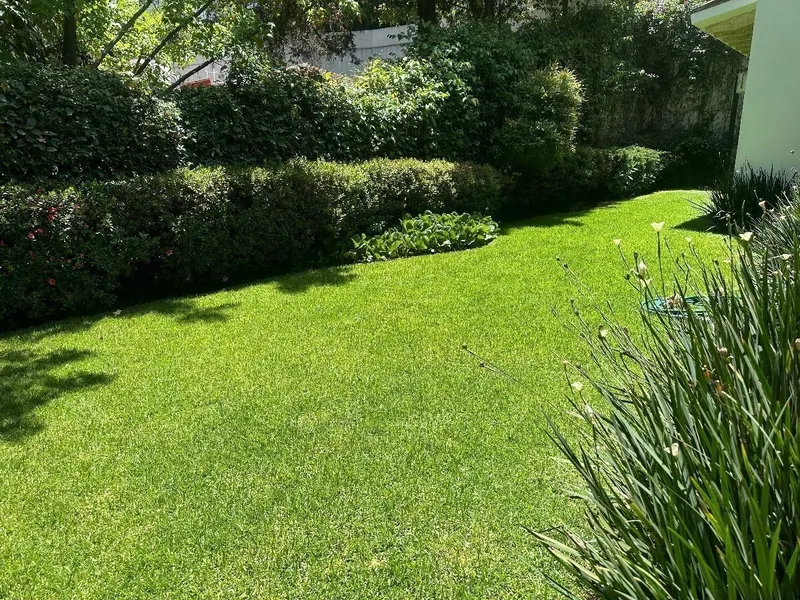Foto 14