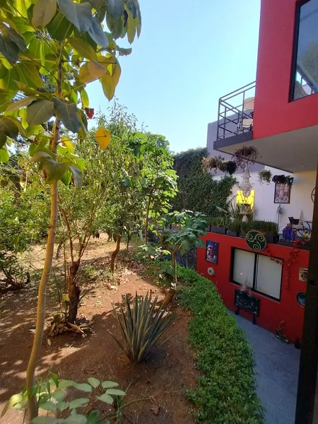 Foto 31