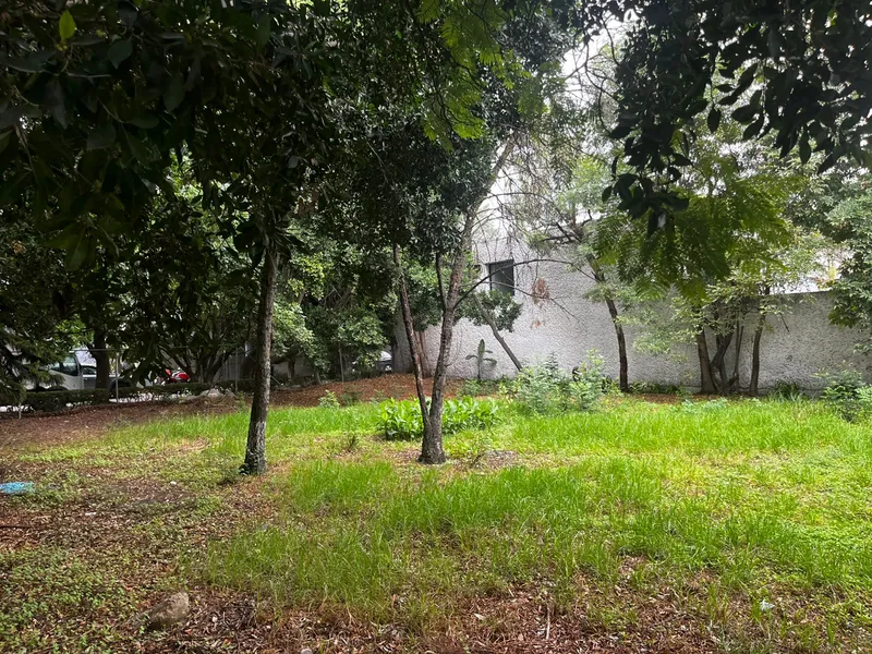 Foto 11