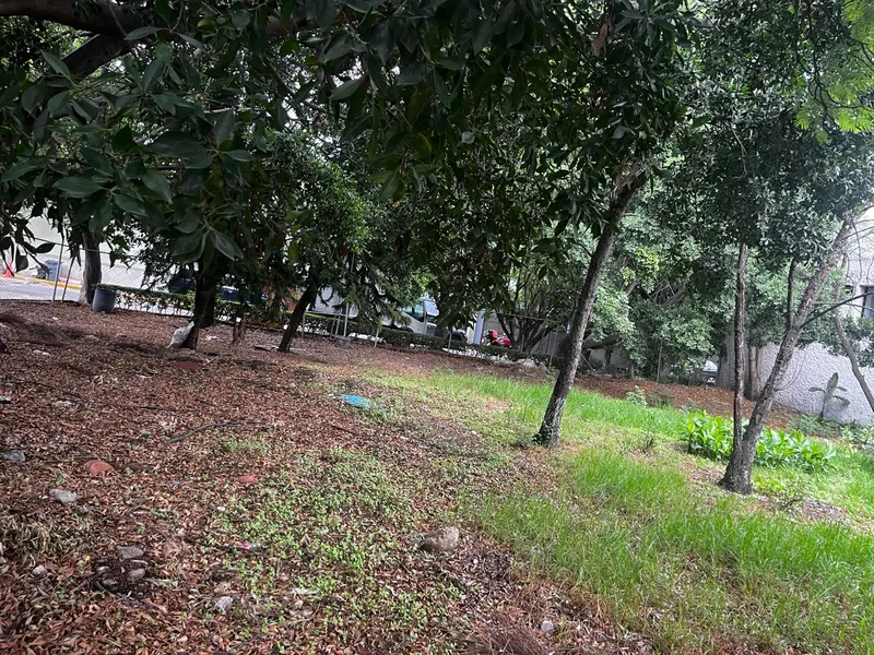 Lote en venta · Florida, Álvaro Obregón, Ciudad de México