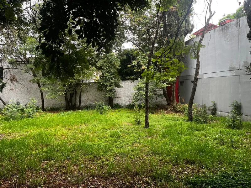 Foto 16