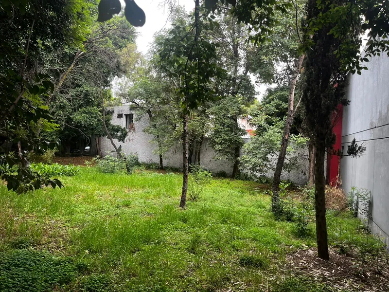 Foto 17