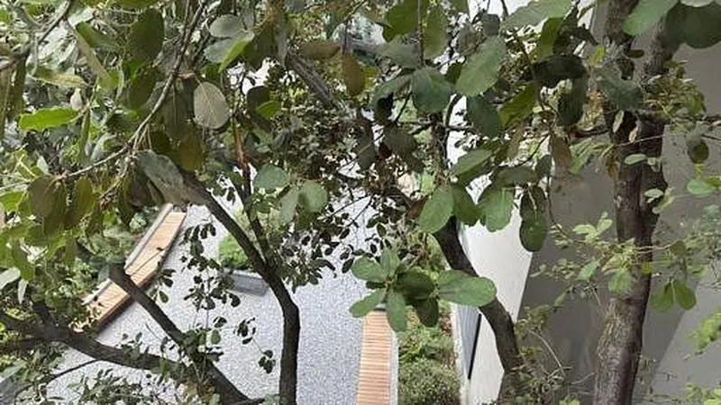 Foto 14