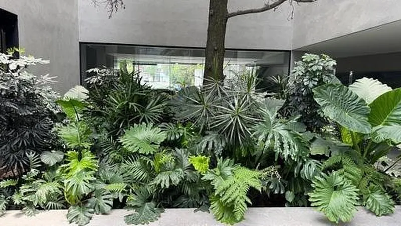 Foto 12