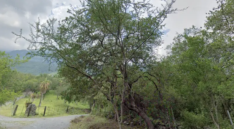 Lote en venta · Villa Rosario, Santiago, Nuevo León